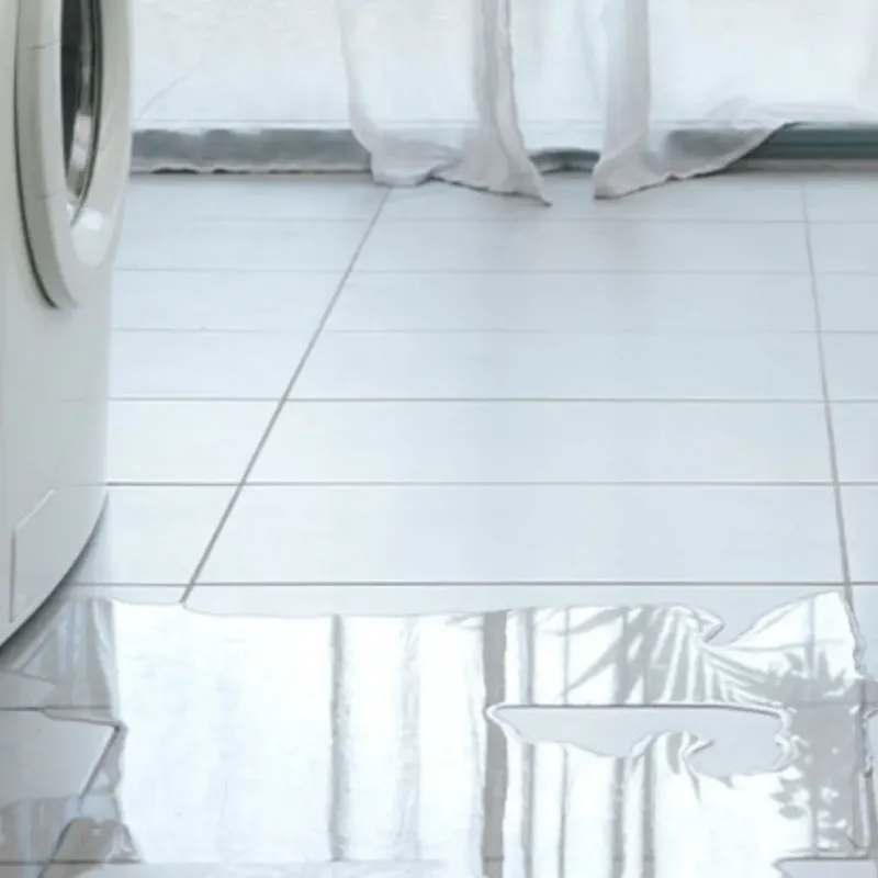 Appliance Leak Cleanup in Advance, MO
