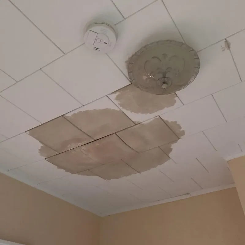 Ceiling Water Damage Repair in Advance, MO