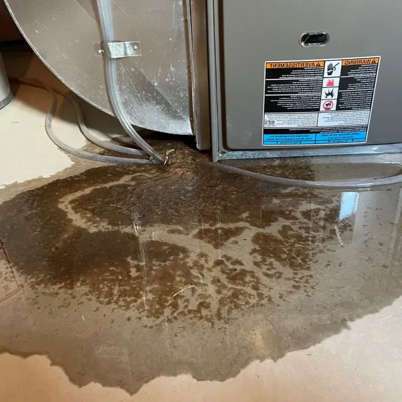 Pipe Burst and Leak Restoration in Advance, MO