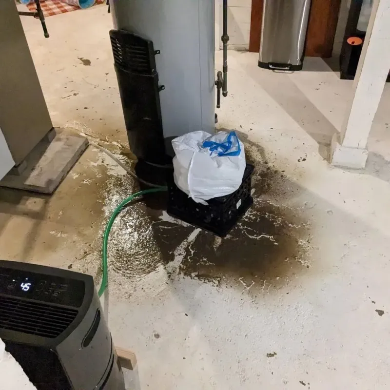 Sewage Backup Cleanup Service in Advance, MO